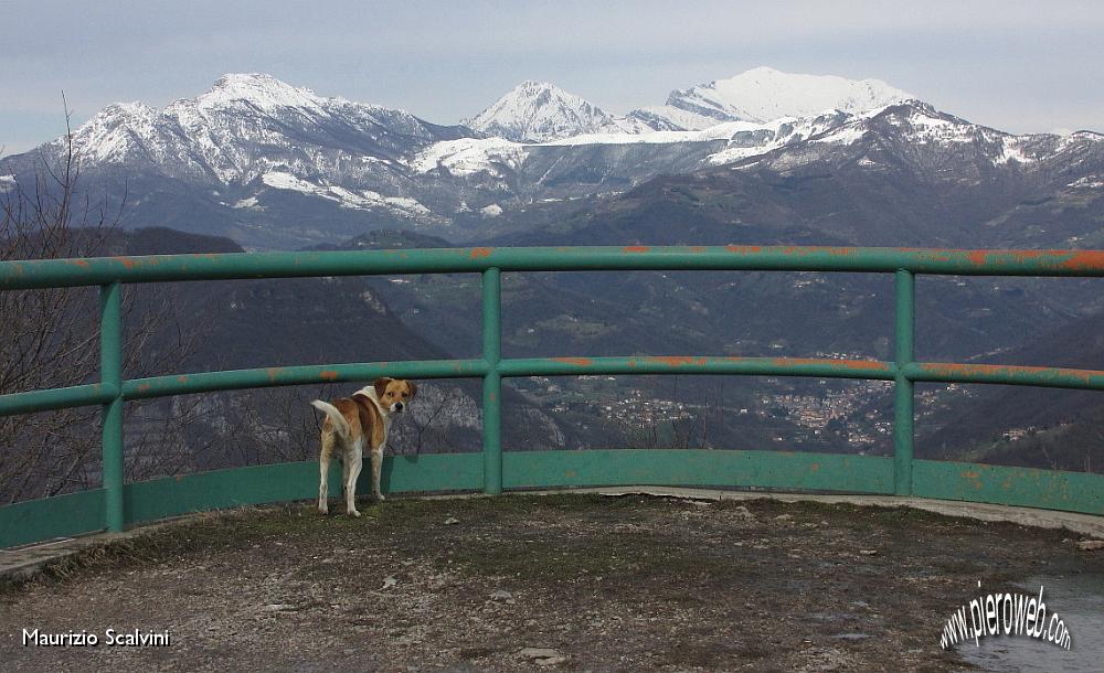 17 Indico al cagnolino il Resegone e le Grigne.....JPG